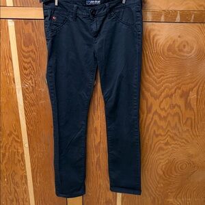 Hudson Jeans Dark Slim pant
